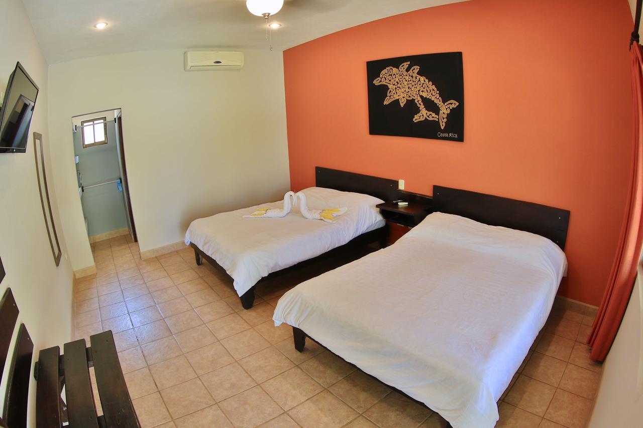 Pitaya Lodge Potrero  Dış mekan fotoğraf