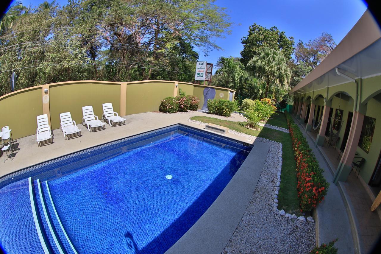 Pitaya Lodge Potrero  Dış mekan fotoğraf